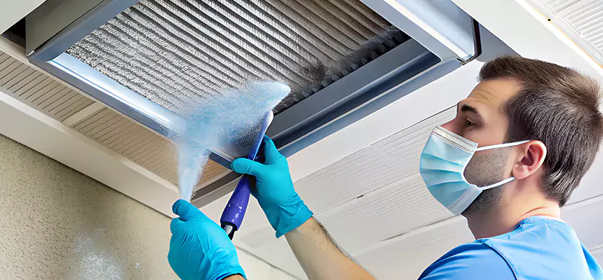 Proactive Dryer Vent & Auxiliary Duct Pollen Cleanup in University, FL