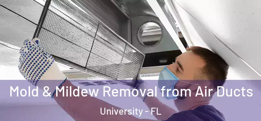 Mold & Mildew Removal from Air Ducts University - FL