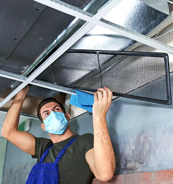 About Air Duct Bacteria Removal in University