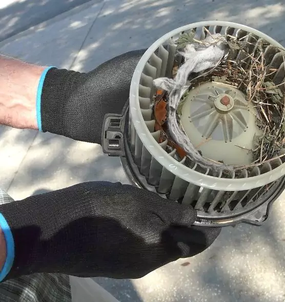 About Air Duct Mice Removal in University, FL
